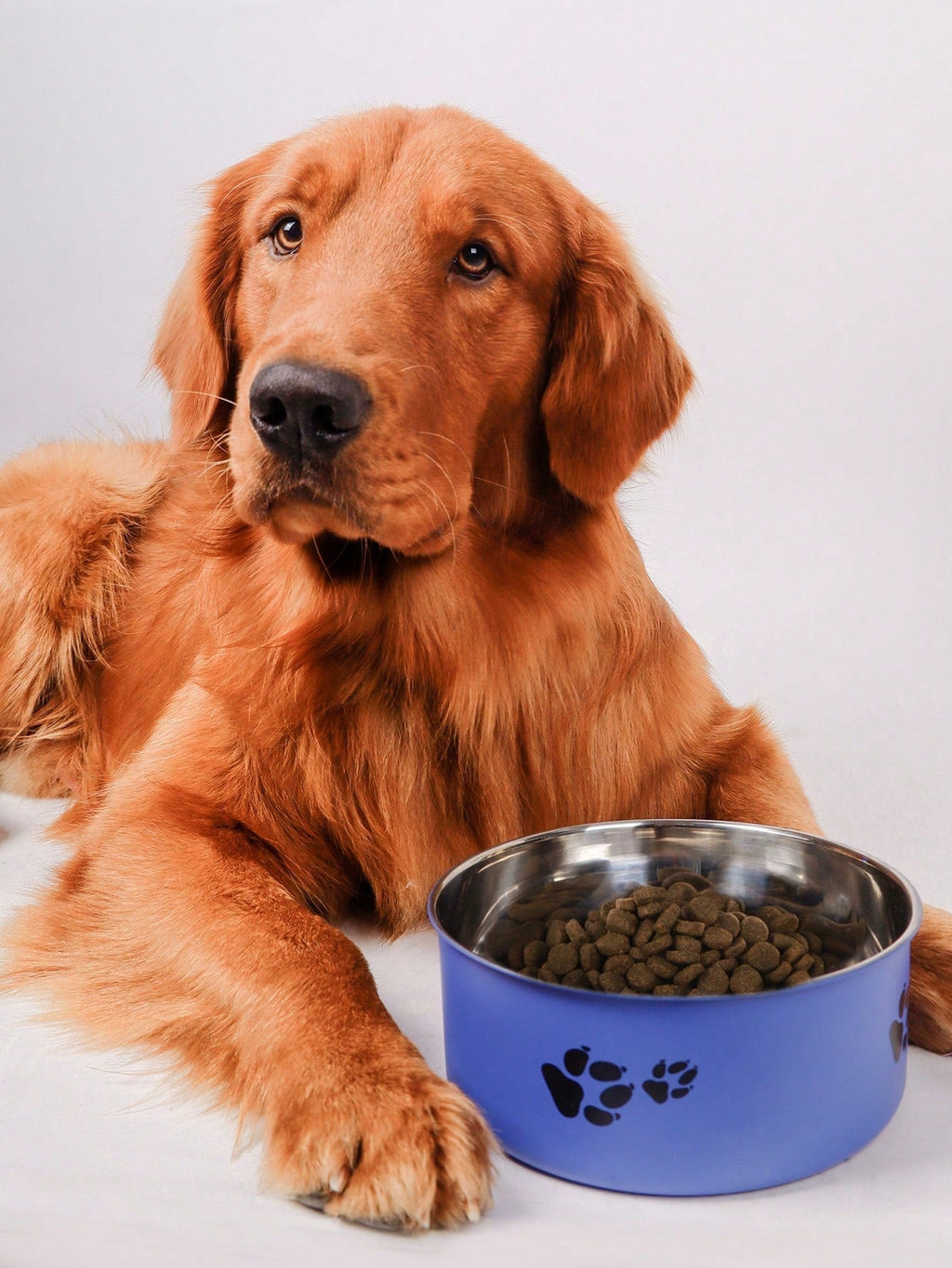 Supet 1pc Cartoon Paw Prints Design Stainless Steel Anti-Slip Pet Bowl For Small And Medium Dogs, Suitable For Indoor And Outdoor Use