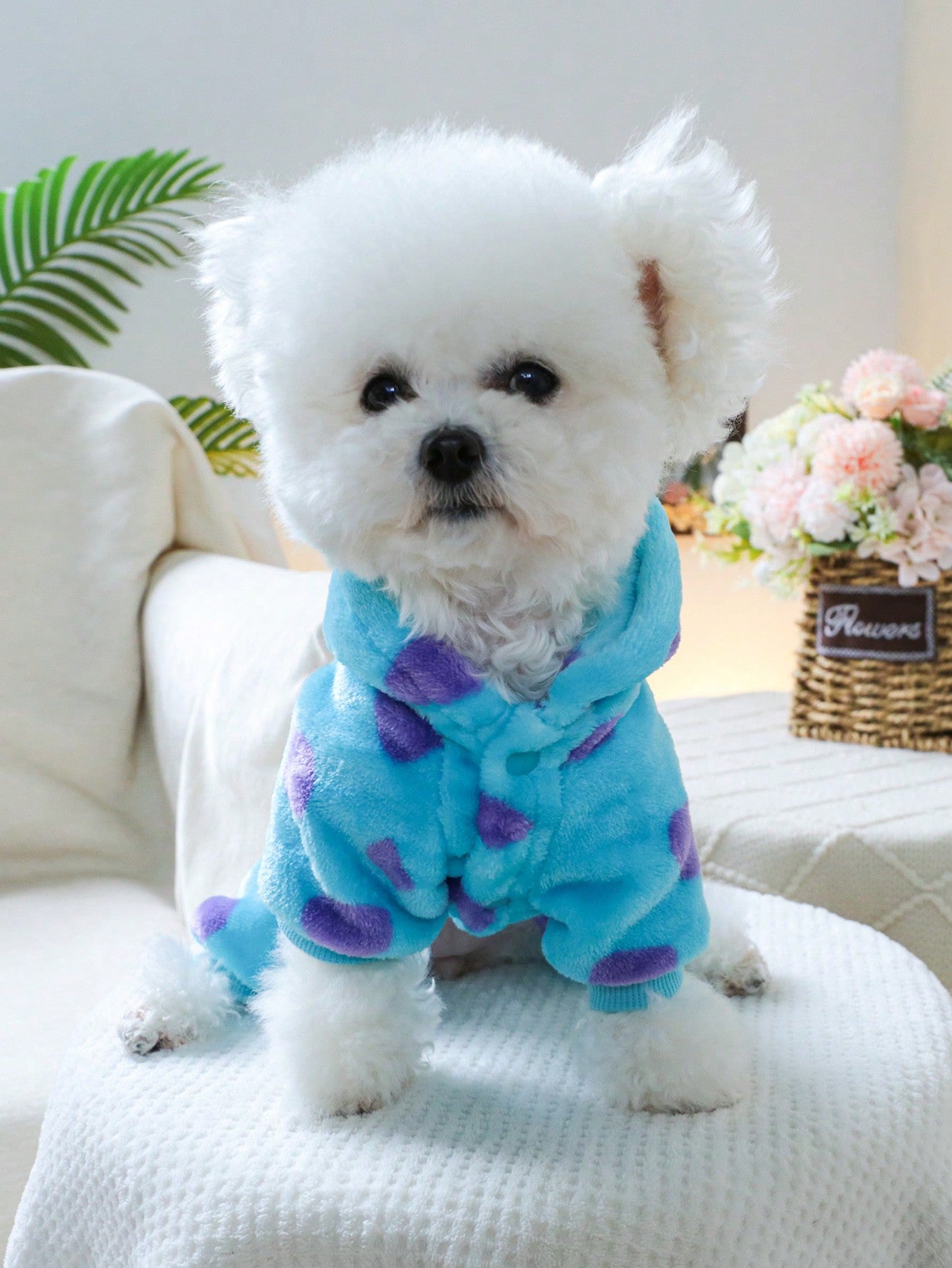 1pc Pet Clothes Universal Costume Clothing For Dogs And Cats, Cute Flower Dinosaur Transformation Costume For Small Dogs And Puppies (Chihuahua, Etc.)