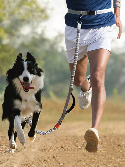 1 Piece Dog Leash With Elastic Reflective Thread, Pet Supplies For Outdoor Walking, Running