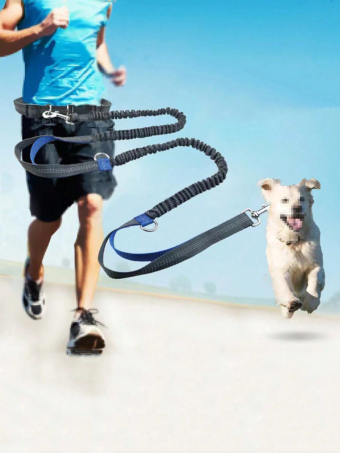 1 Piece Dog Leash With Elastic Reflective Thread, Pet Supplies For Outdoor Walking, Running