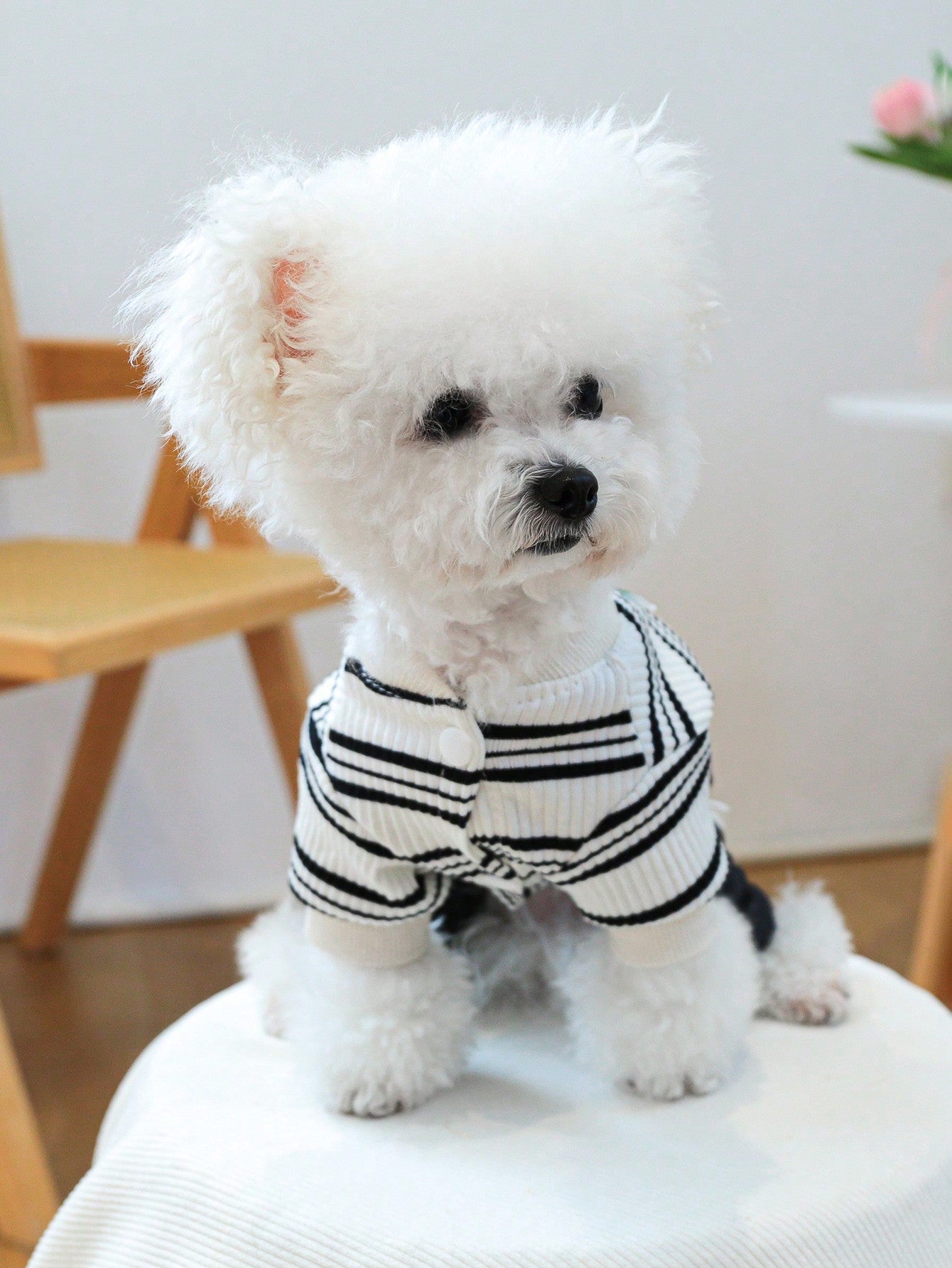 PETCIRCLE 1pc Pet Clothes Striped Denim Effect Elastic Pants For Small Medium Dogs Cats, Fashionable & Classic, Autumn/Winter New Arrival