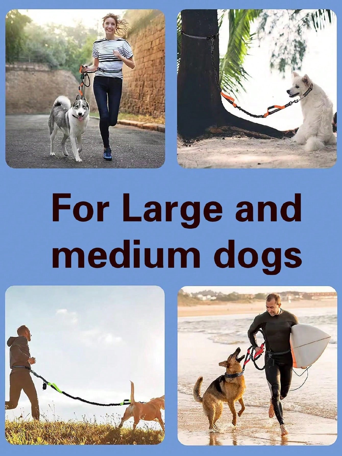 1 Piece Dog Leash With Elastic Reflective Thread, Pet Supplies For Outdoor Walking, Running