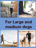 1 Piece Dog Leash With Elastic Reflective Thread, Pet Supplies For Outdoor Walking, Running