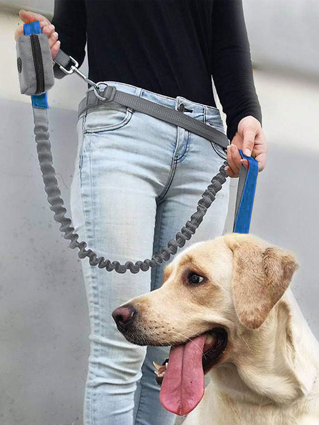 1 Piece Dog Leash With Elastic Reflective Thread, Pet Supplies For Outdoor Walking, Running