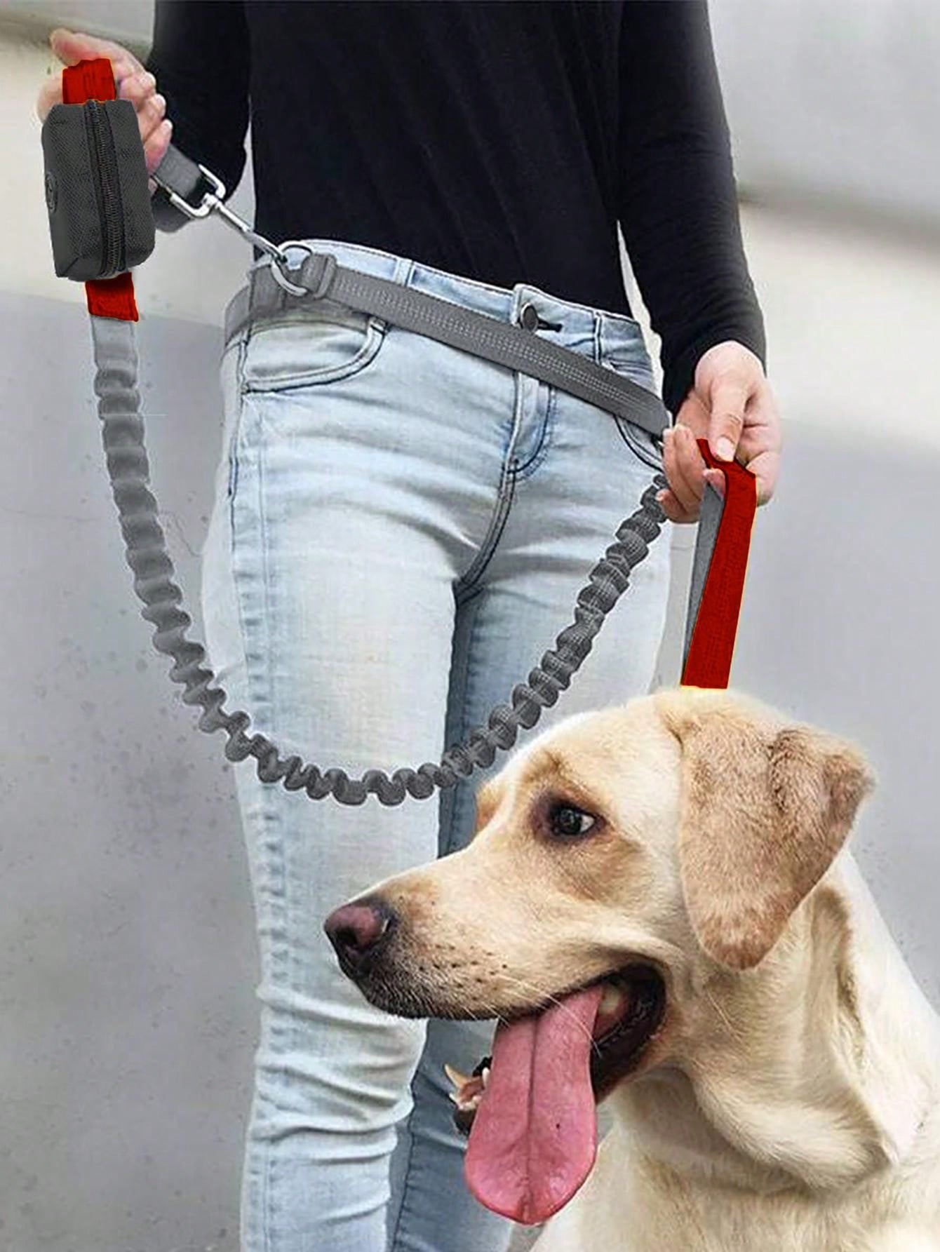 1 Piece Dog Leash With Elastic Reflective Thread, Pet Supplies For Outdoor Walking, Running