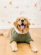 1pc Thick Fleece Hooded Sweatshirt Coat, Warm & Windproof For Medium/Large Dogs, Autumn/Winter