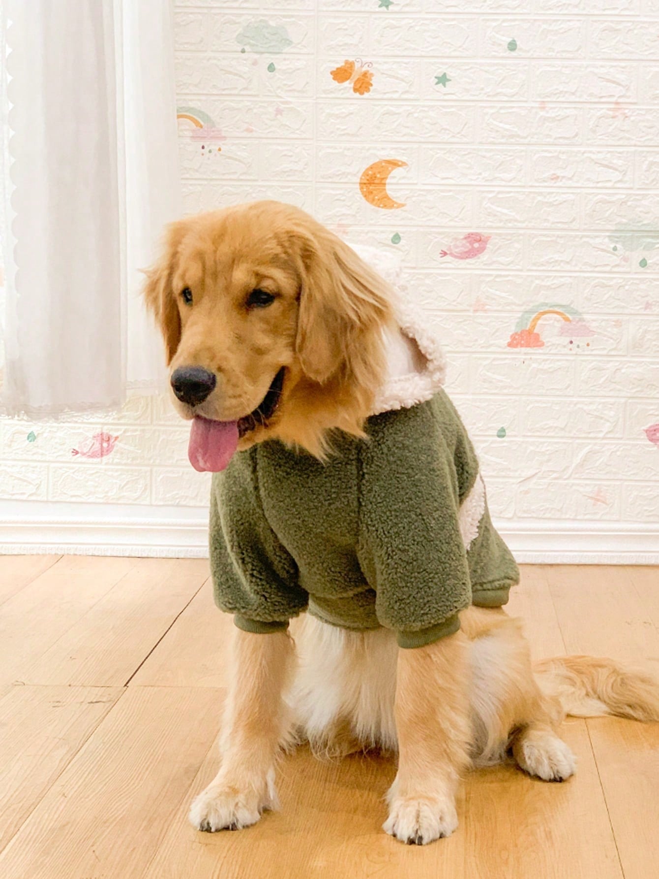 1pc Thick Fleece Hooded Sweatshirt Coat, Warm & Windproof For Medium/Large Dogs, Autumn/Winter
