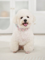 Sparkling Rhinestone Flower Dog Collar, Gradient Colorful Style, Luxurious And Flashy, Adjustable