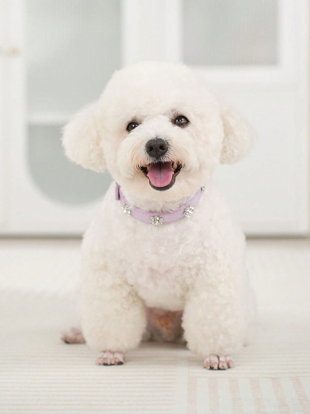 Sparkling Rhinestone Flower Dog Collar, Gradient Colorful Style, Luxurious And Flashy, Adjustable