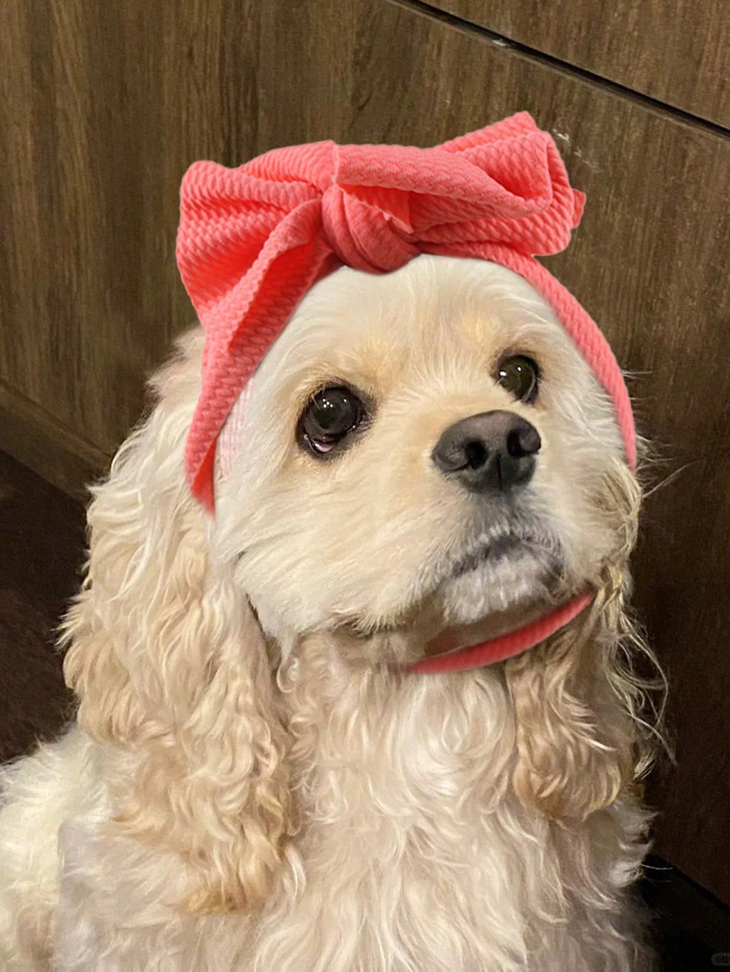 1pc Pet Headgear Teddy Up Bow Hat Dog Bunny Turban Knot Bow Hair Bands Head Wrap Rabbit Knitted Headband Gift Stretchy DIY Pet Accessories Suitable For Medium Dogs Perfect Birthday Gift