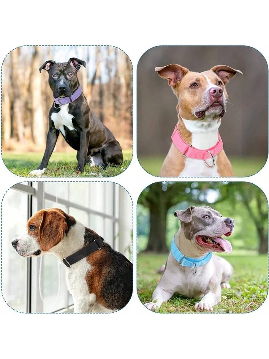 Dog Neck Leash For Outdoor Walking Adjustable Neck Leash For Dogs Sturdy Martingale Nylon Dog Collar Adjustable Soft Puppy Pet Collar For Small Large Dogs Training Control Prevents Slipping Out