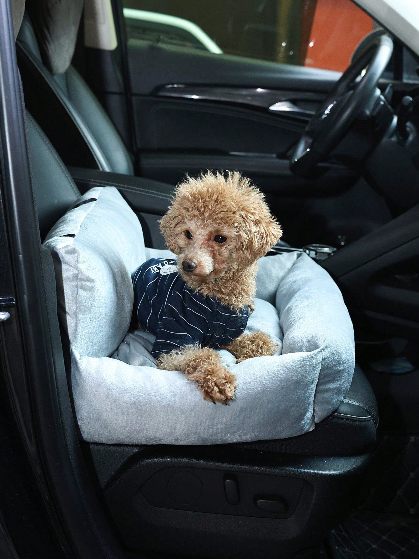 1pc Detachable Pet Car Seat Cushion, All Season Use, Pet Car Seat, Pet Bed With Safety Belt And Tether Leash, Suitable For Medium To Small Cats & Dogs