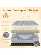 Orthopedic Dog Bed Removable Washable Cover Non-Slip Bottom Dog Sofa Bed,