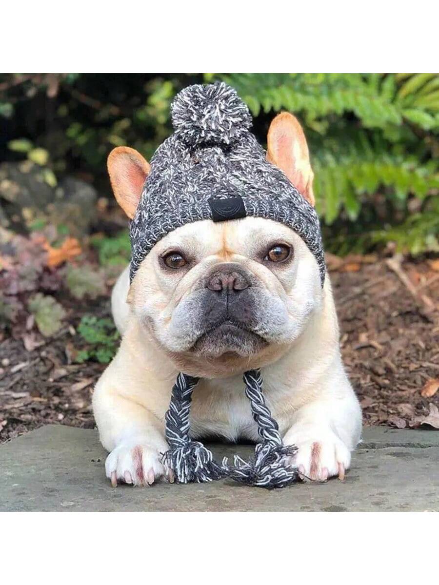 Winter Warm Dog Hats Windproof Knitting French Bulldog Hat For Dogs Chihuahua Hat Fluffy Ball Pet Hat Puppy Accessories