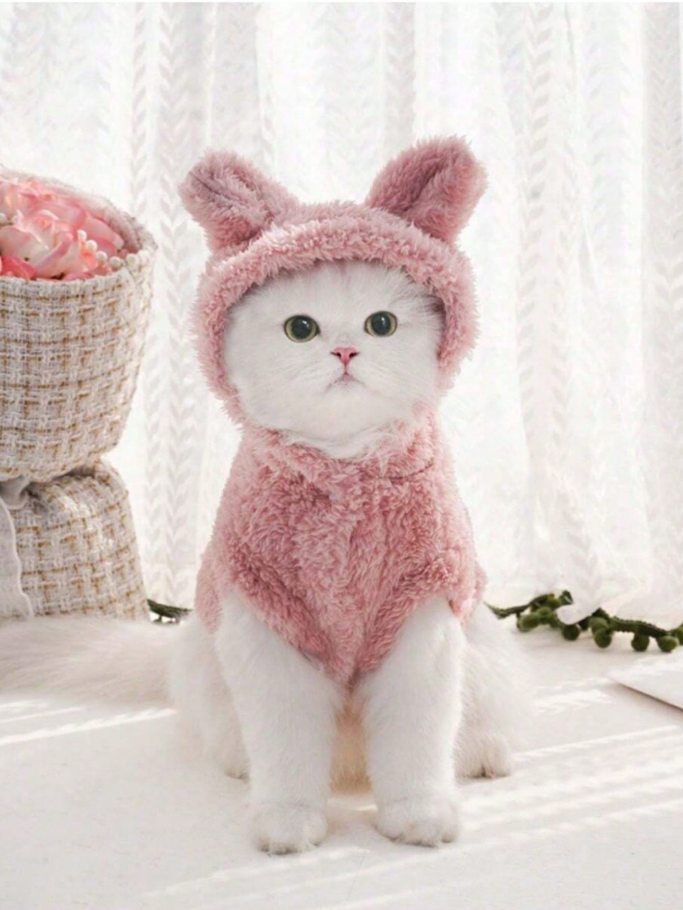 Autumn And Winter Casual Warm Hooded Pet Sweatshirt