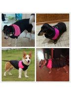 Winter Warm Waterproof Dog Jacket For Small Medium Large Dogs Clothes Chihuahua Vest Labrador French Bulldog Costume Pet Apparel