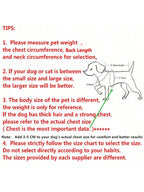 Winter Warm Waterproof Dog Jacket For Small Medium Large Dogs Clothes Chihuahua Vest Labrador French Bulldog Costume Pet Apparel