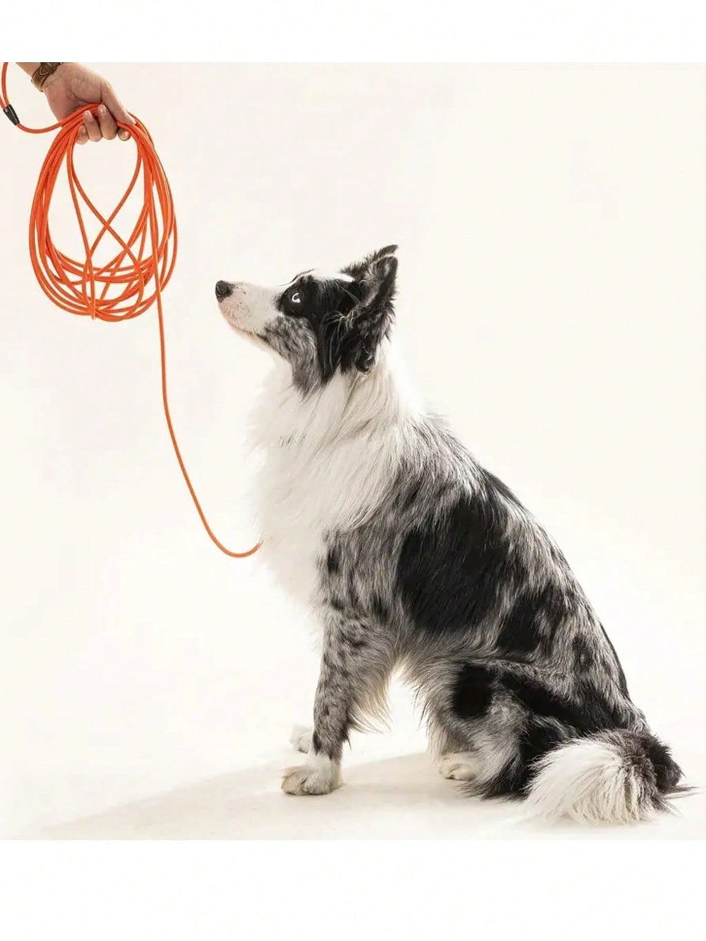 Long Leash Waterproof Training,Heavy Duty Recall Long Lead,Durable Outdoor Dog Leash 5FT 10FT 20FT 30FT Great For Training,Beach,Tie Out,Yard,Play,Camping