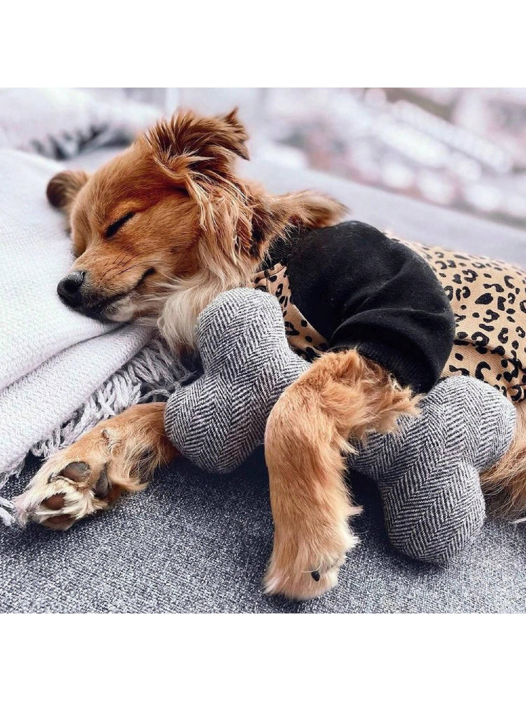 1 Piece Personalized Puppy Gift, Personalized Puppy Birthday Gift, Durable Pet Toy, Personalized Pet Gift