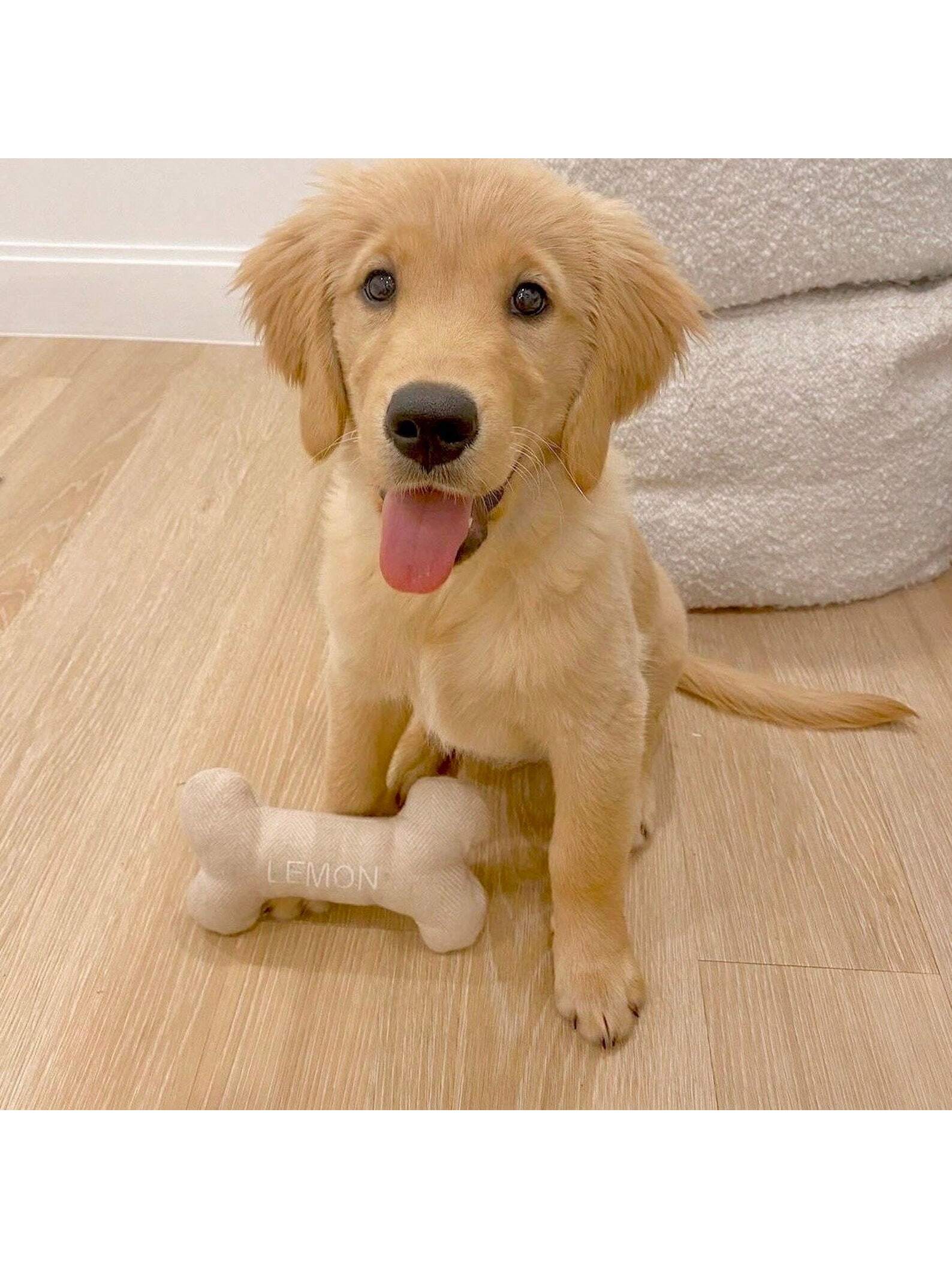 1 Piece Personalized Puppy Gift, Personalized Puppy Birthday Gift, Durable Pet Toy, Personalized Pet Gift