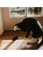 Color Random Kitten Toys Interactive Running Mouse Plush Toys Mouse Cat Toys Winding Up Racing Mouse Kitten Filling Mobile Pet Cat Outdoor Kitten Play Battery-Free Mechanical Mouse Toy Lifelike Simulation, Helps Consume Feline Energy