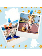 4 Pieces Pet Dog Hawaiian Costume Includes Puppy Cool T-Shirts Summer Clothes Funny Cute Hawaiian Beach Coconut Tree Print Dog Shirt Summer Camp Shirt Clothes For Medium To Large Pet