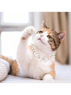 CGLLCute Cat And Dog NecklaceDog Cat Pearl Collars With Cute Pet Paw Gold Chain Stainless Steel Collars Necklace Adjustable Collar Dog Chain Cat White Pearl Pet Collar White S LHCG5102