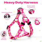 QQPETS Dog Harness Leash Set Adjustable Heavy Duty No Pull Halter Harnesses for Small Medium Large Breed Dogs Back Clip Anti-Twist Perfect for Walking (S(14"-20" Chest Girth), Daisy)
