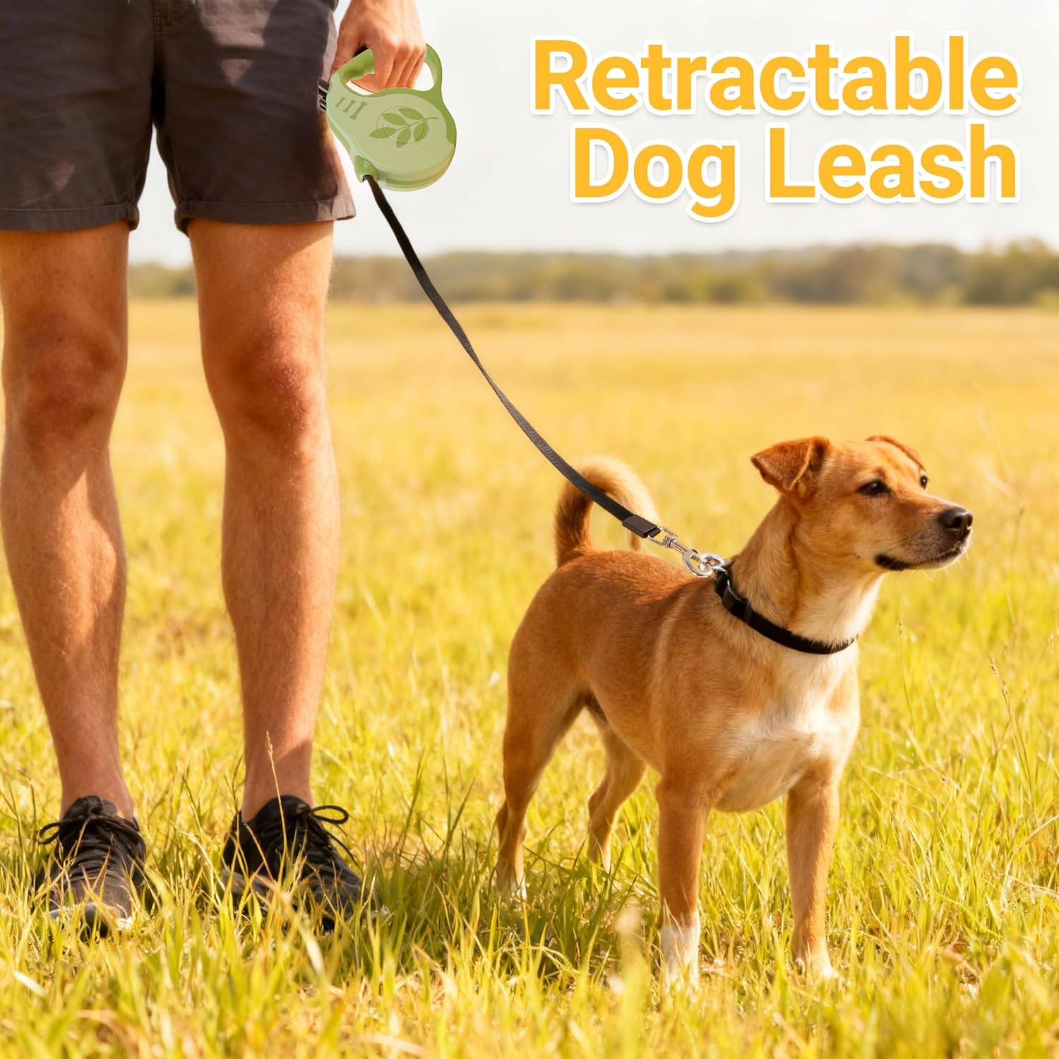 Retractable Dog Leash with Non-Slip Handle, 10 FT Automatic Telescopic Tractor with Atuo Locking Botton，Durable Pet Tape for Small and Medium-Sized Dogs Green