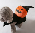 Halloween Pet Costume for Dogs - Pumpkin Outfit