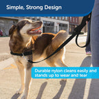 PetSafe Nylon Leash - Chew-Resistant Cat & Dog Behavioral Training Leash - Compatible with Easy-Walk Harness - Traditional-Style Reliable Pet Lead with a Padded Hand Wrap - 3/8" x 6' - Black