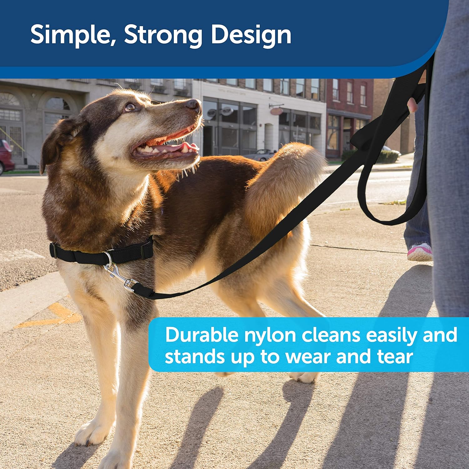 PetSafe Nylon Leash - Chew-Resistant Cat & Dog Behavioral Training Leash - Compatible with Easy-Walk Harness - Traditional-Style Reliable Pet Lead with a Padded Hand Wrap - 3/8" x 6' - Black
