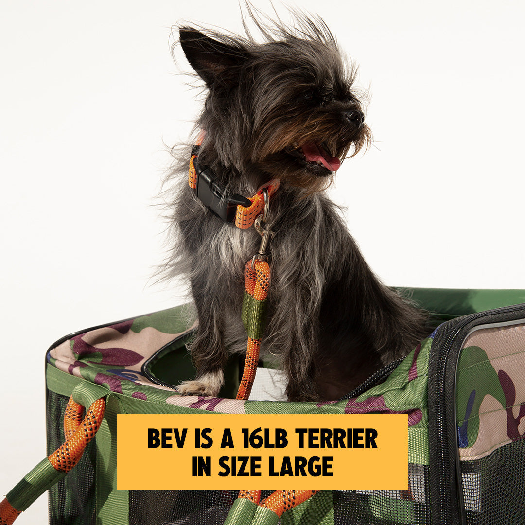 OUT-OF-OFFICE PET CARRIER PRO EDITION
