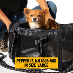 OUT-OF-OFFICE PET CARRIER PRO EDITION