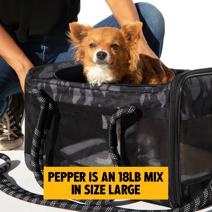 OUT-OF-OFFICE PET CARRIER PRO EDITION