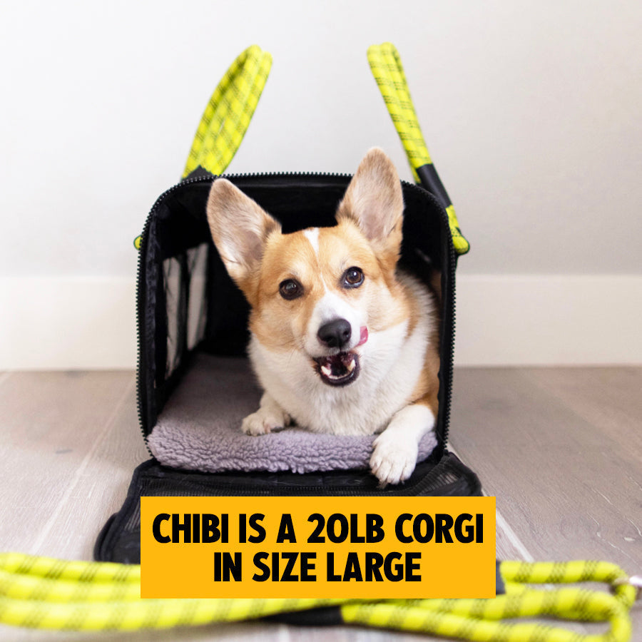 OUT-OF-OFFICE PET CARRIER PRO EDITION