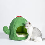 Cactus Cat Bed Warm Enclosed Kitten And Dog Nest Deep Sleep Comfort Mat  Pets Tent Cozy Cave  Indoor Pet Supplie