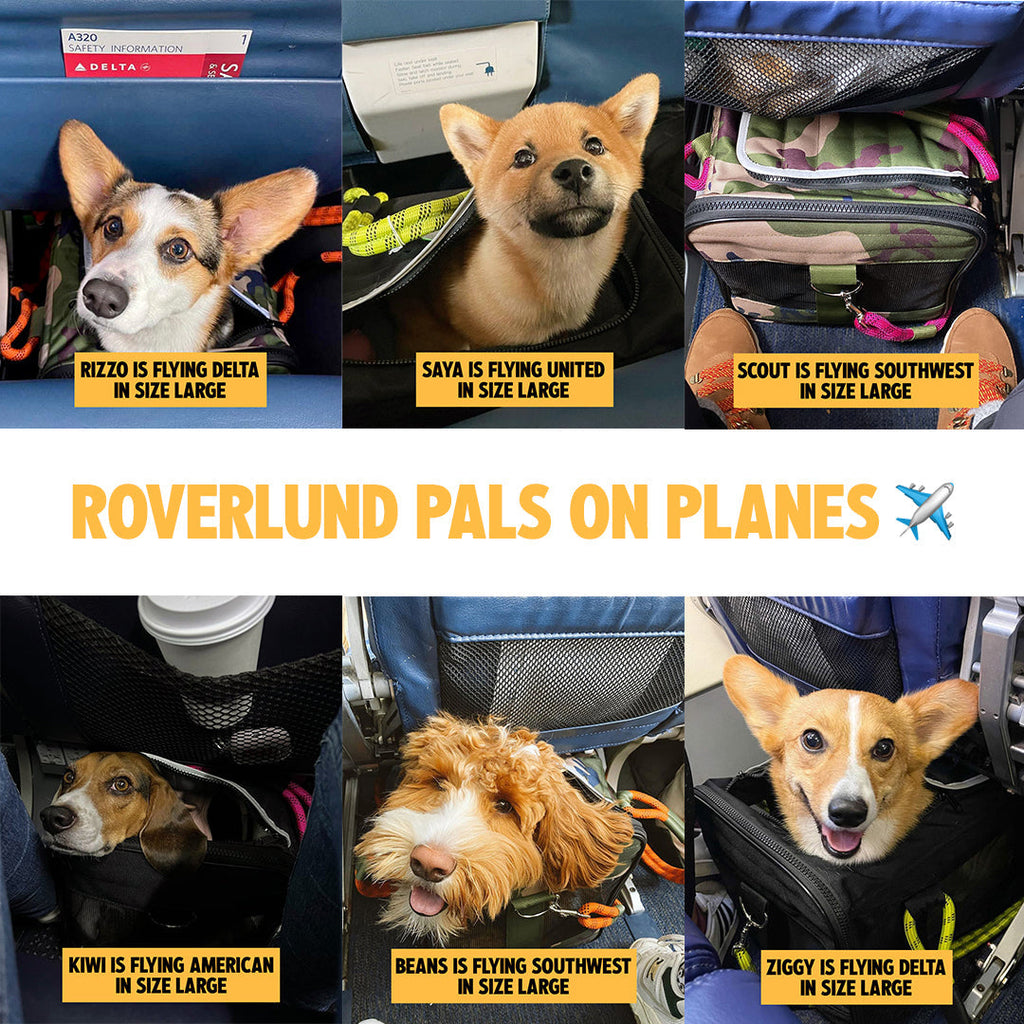 OUT-OF-OFFICE PET CARRIER PRO EDITION