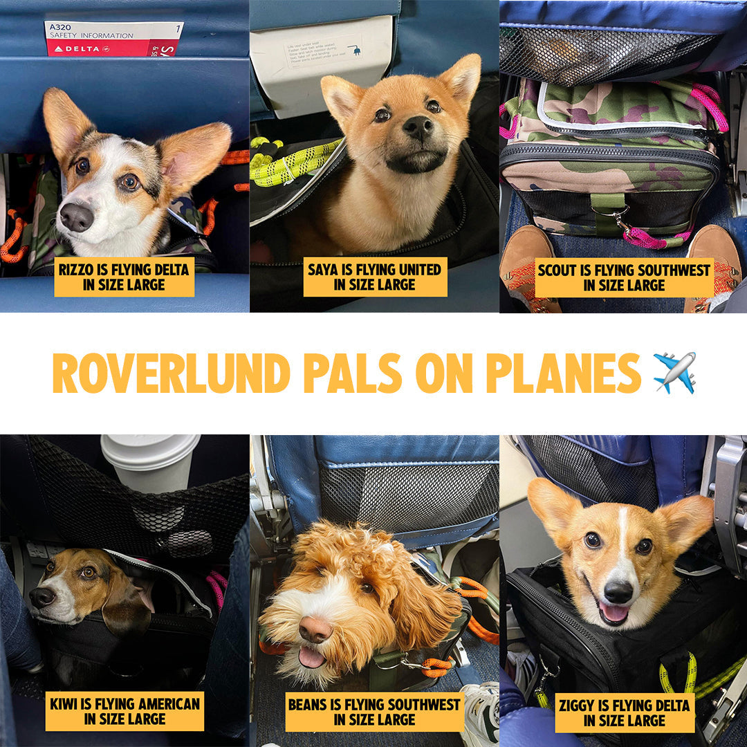 OUT-OF-OFFICE PET CARRIER PRO EDITION