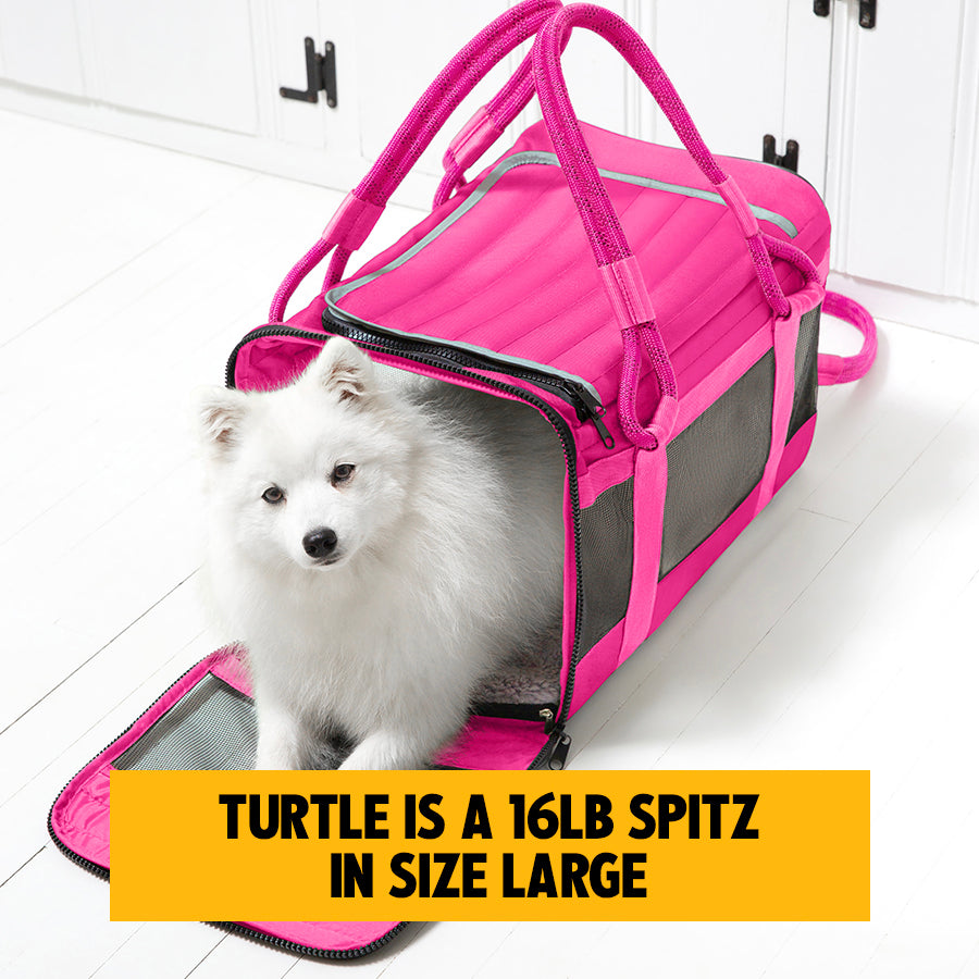 OUT-OF-OFFICE PET CARRIER PRO EDITION